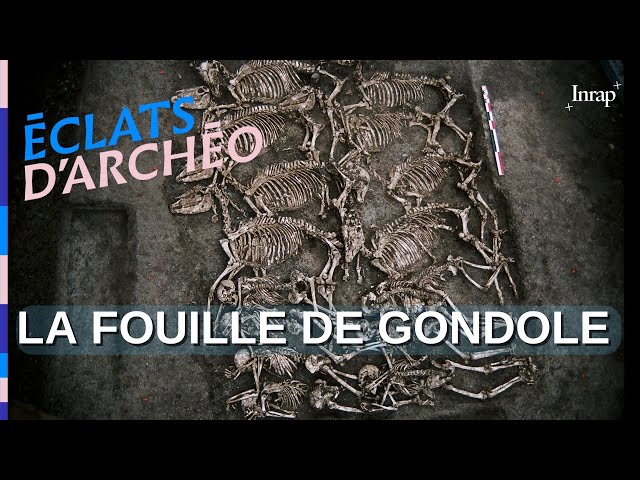 Gondola's phantom cavalry - Éclats d'archéo #8