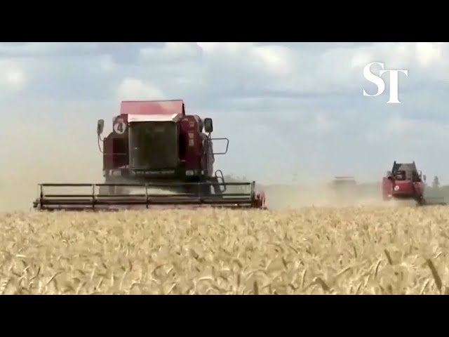 EU slams Poland, Hungary for Ukraine grain bans