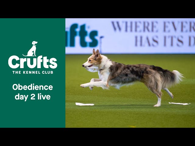 Crufts Obedience Live | Inter-Regional Obedience | Crufts 2022
