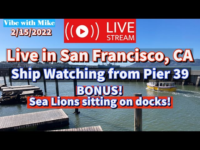 ⚓️Livestream watching Ships from Pier 39 in San Francisco, CA