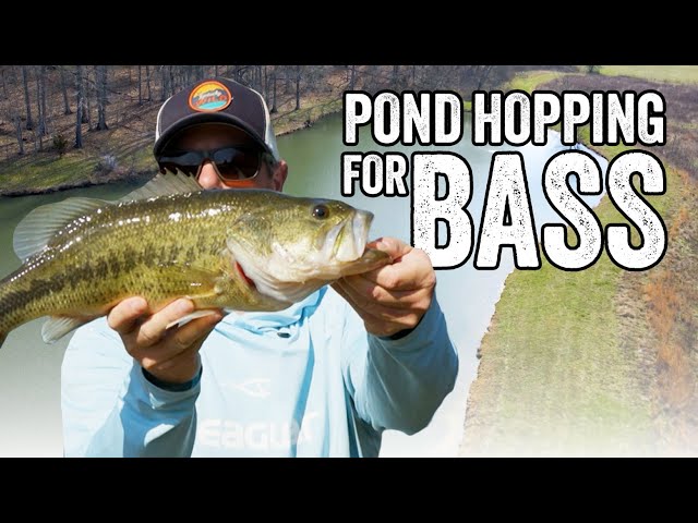 Pond Hopping for Spring Bass