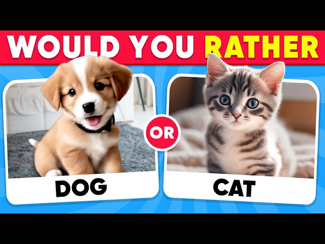 Would You Rather...? Animals Edition 🐶😺 Quiz Shiba