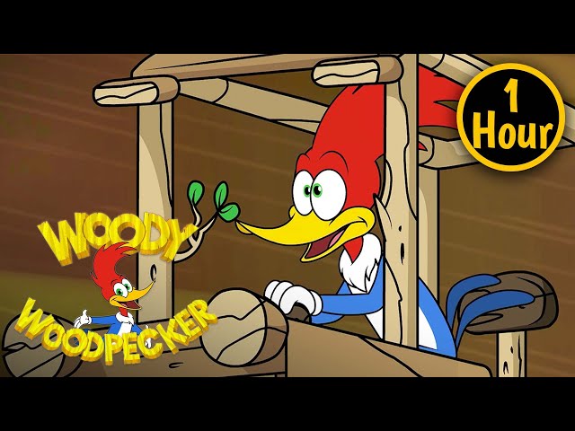 1 Hour of Woody Woodpecker Full Episodes | War of the Woods