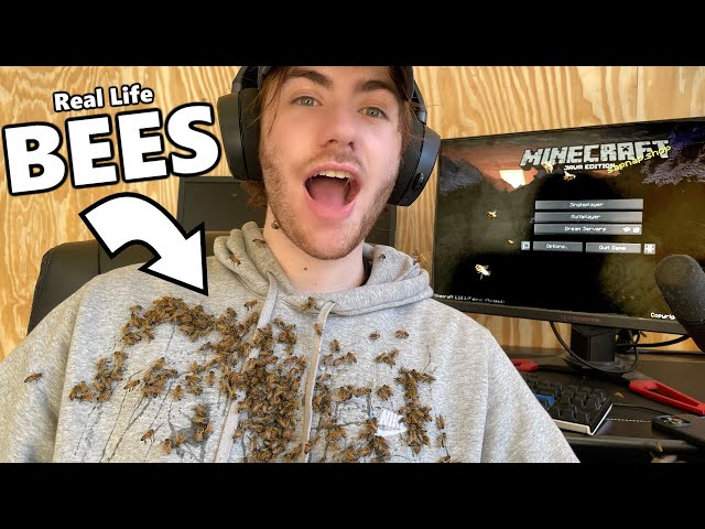 Beating Minecraft While SWARMED by BEES