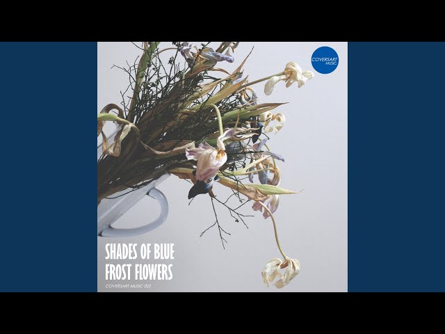 Shades of Blue (Single Mix)