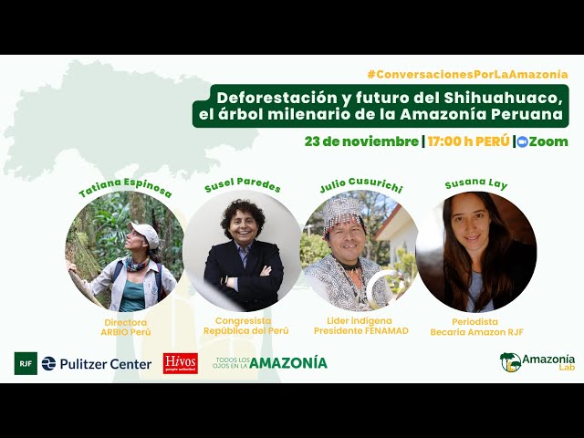 #ConversacionesPorLaAmazonía Deforestación y futuro del Shihuahuaco en la Amazonía Peruana