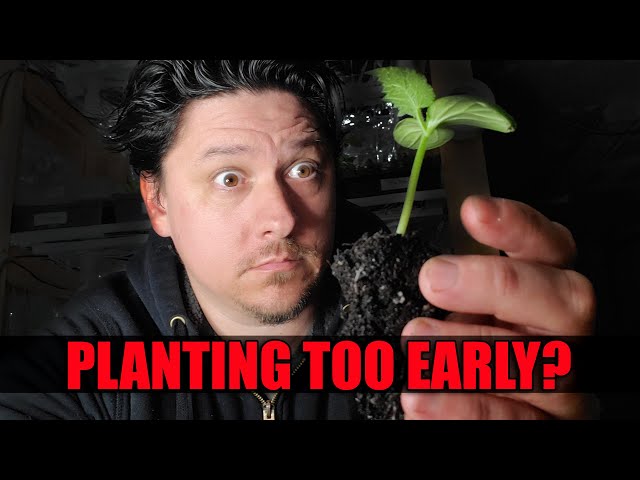 Starting Seeds Too Early - Garden Quickie Episode 46