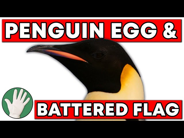 Penguin Egg & Battered Flag  - Objectivity 20