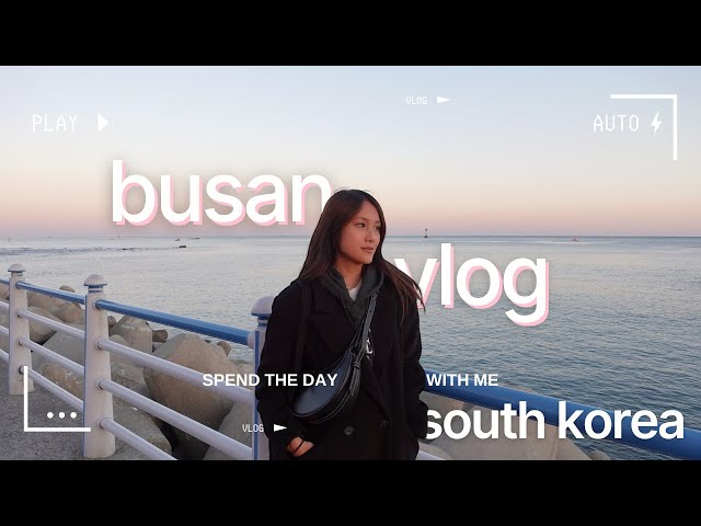 korea vlog 🇰🇷 ep. 4 | a day in busan, street food & seafood, beach sunset 🌅