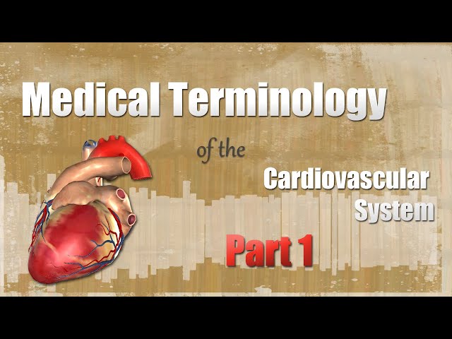 Introduction to the Cardiovascular System! (Full Video) (Part 1 And 2)