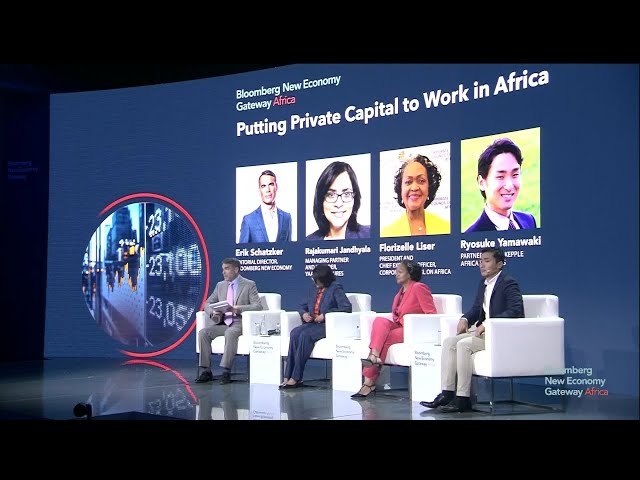 Putting Private Capital to Work in Africa