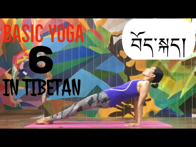 Basic yoga lesson 6 སློབ་ཁྲིད་དྲུག་པ་ lying 5  intermediate asana