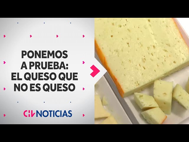 PONEMOS A PRUEBA: El queso que no es queso, ¿de qué está hecho? - CHV Noticias