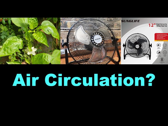 Greenhouse Air Circulation – and Sunglife High Velocity 12 inch Fan Review