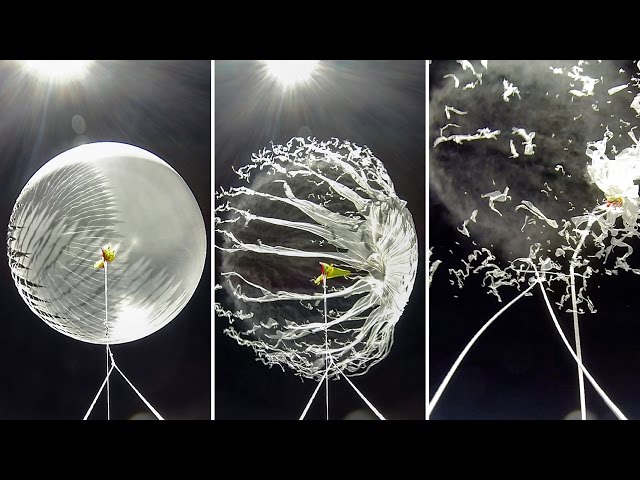 Watch the explosive demise of a weather balloon