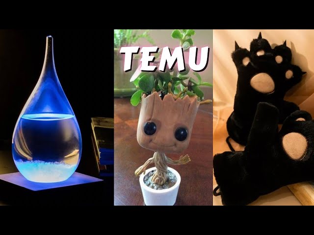 TEMU *MUST HAVES* You Need for Summer 2024  | Things You Didn't Know You Needed