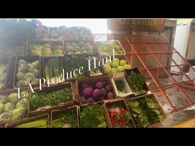 Come along with me to check out my wholesale produce market adventure ￼