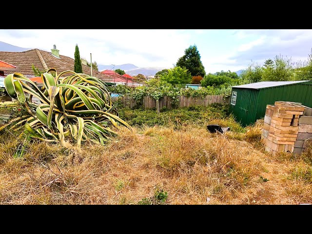 The AGAVE from HELL: Dispatching a ONE TONNE BEAST in Garden Makeover!!!