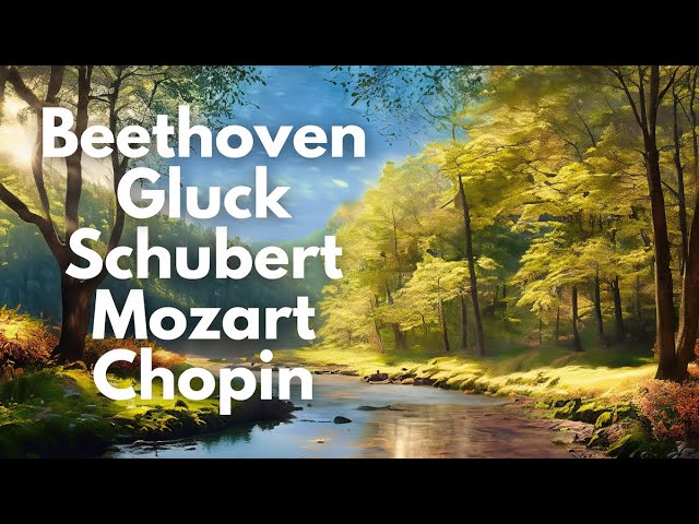 Classical Music Mix: 10 Greatest Composers | Beethoven, Gluck, Chopin, Mozart, Schubert