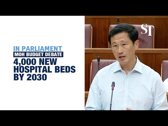Govt to add 4,000 hospital beds by 2030