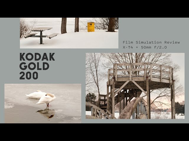 Kodak Gold 200 Film Simulation Recipe (gloomy day w/ Fujifilm X-T4 + Fujinon 50mm f/2.0)