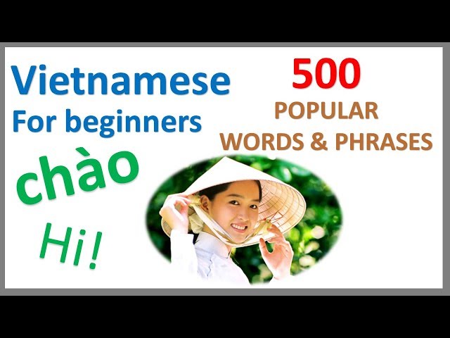 Vietnamese for Beginners | 500 Popular Words & Phrases | Learn by Example