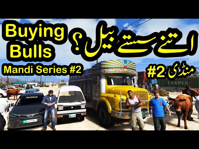 Buying Bulls to sell | Qurbani 2022 | Mandi Series #2 | Radiator | GTA 5 Real Life Mods