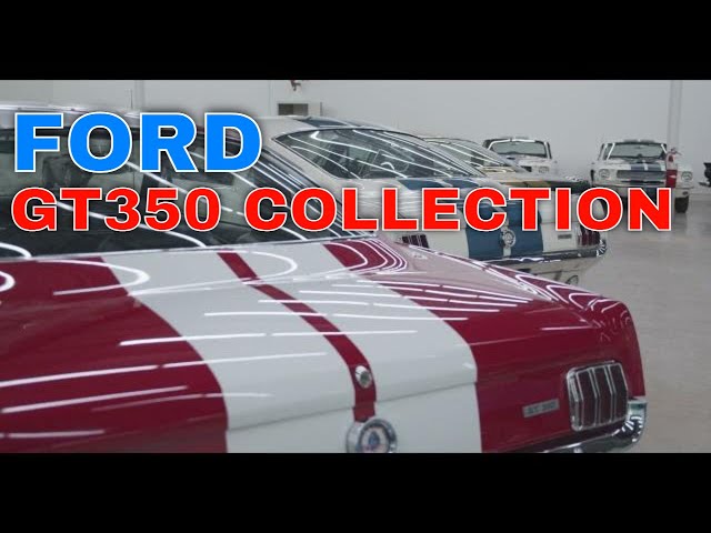 Ford Mustang: Buying An Original GT350