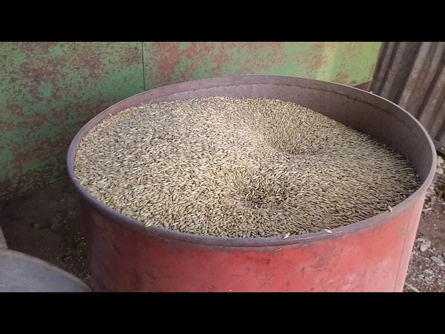 Homemade Grain Blower - Incarcator pneumatic de cereale