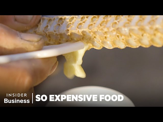 Why Royal Jelly is So Expensive | So Expensive Food | Insider Business
