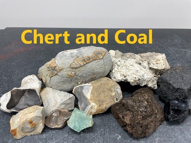 Rock Identification with Willsey: Sedimentary Rocks (Chert and Coal)