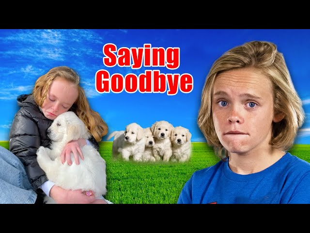 SAYING GOODBYE! Convincing DAD to Keep a PUPPY? **EMOTIONAL**