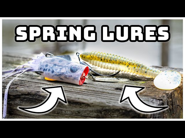 SPRINGTIME Lures For MORE Bass! (Ft. @AJFishing )