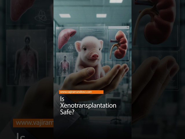 Is Xenotransplantation Safe?