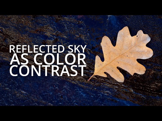 Using Color Contrast To Your Advantage | Zion Fall Photography - Episode 9
