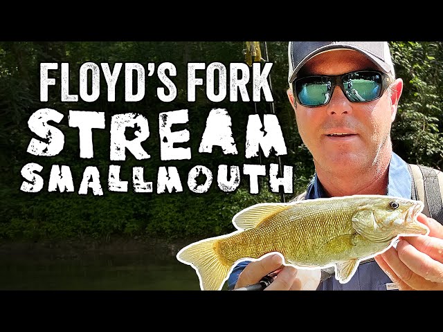 Creek Fishing for Bass! | The Parklands of Floyds Fork