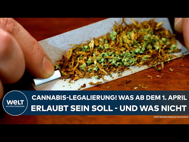 DEUTSCHLAND: Cannabis-Legalisierung! Was ab 1. April erlaubt sein soll – und was nicht