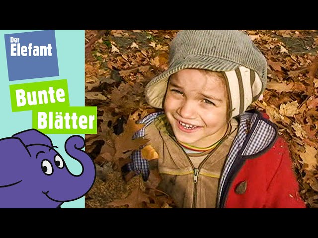 Spaß im Blätterhaufen - Was man mit einem Laubhaufen im Herbst machen kann  | Der Elefant | WDR