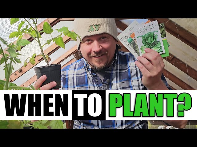 When Should We Plant? - Garden Quickie Episode 132
