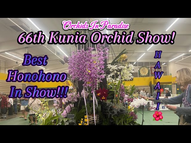 66th Kunia Orchid Show!