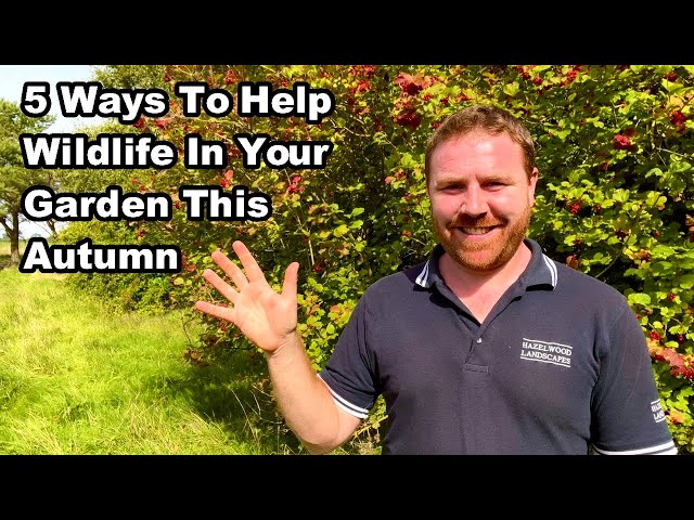 How To HELP WILDLIFE In YOUR GARDEN This Autumn & Winter