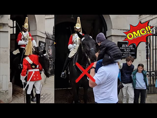 NOT TOO CLOSE! STUPID FATHER  PUTS CHILD IN DANGER! | HORSE REACTS TO HIS FAVOURITE GUARD!🥰