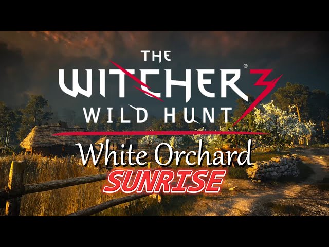 Witcher 3 - White Orchard - Sunrise - Music & Ambience