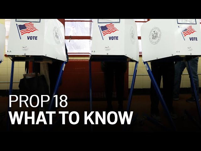 Election Guide: Here's What You Need to Know About Proposition 18