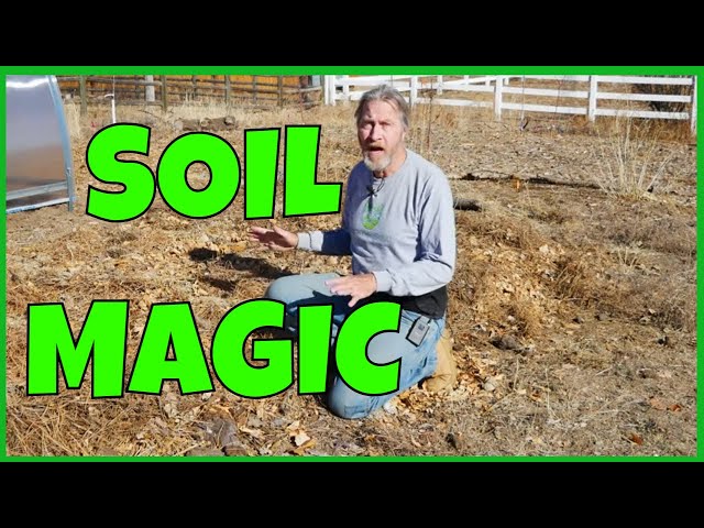 How to Transform Bad Soil Into Good Soil