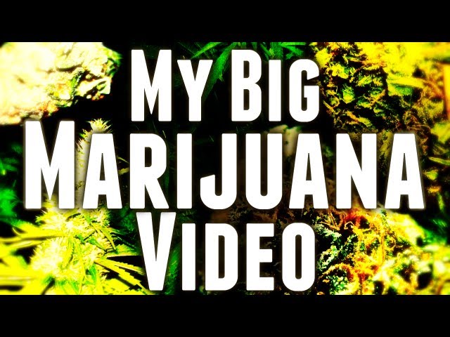 My Big Marijuana Video