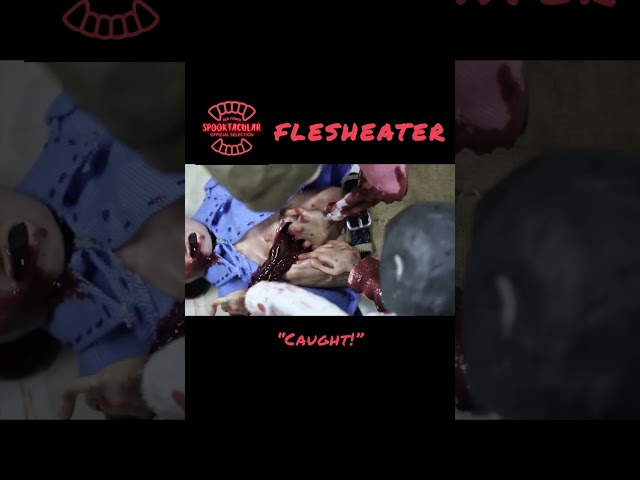 CAUGHT!  | FLESHEATER | claymation zombies | Horror Short Film