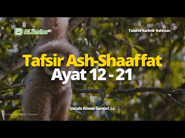 Tafsir Surah Ash-Shaaffat Ayat 12-21 - Ustadz Anwar Samuri, Lc. | Taisirul Karimir Rahman