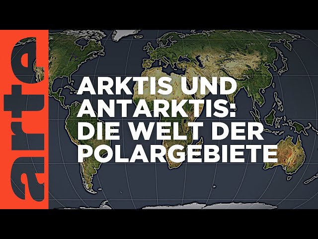 Arktis und Antarktis, die Welt der Polargebiete | Mit offenen Karten | ARTE