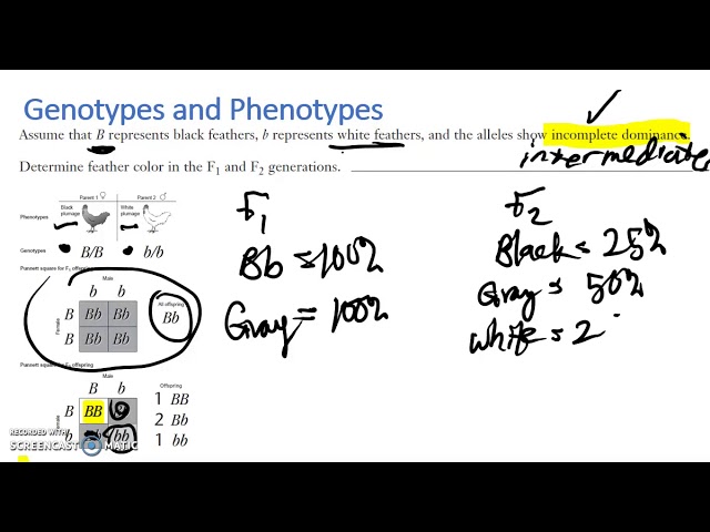 Genotypes and Phenotypes in Alternative Patterns of Heredity